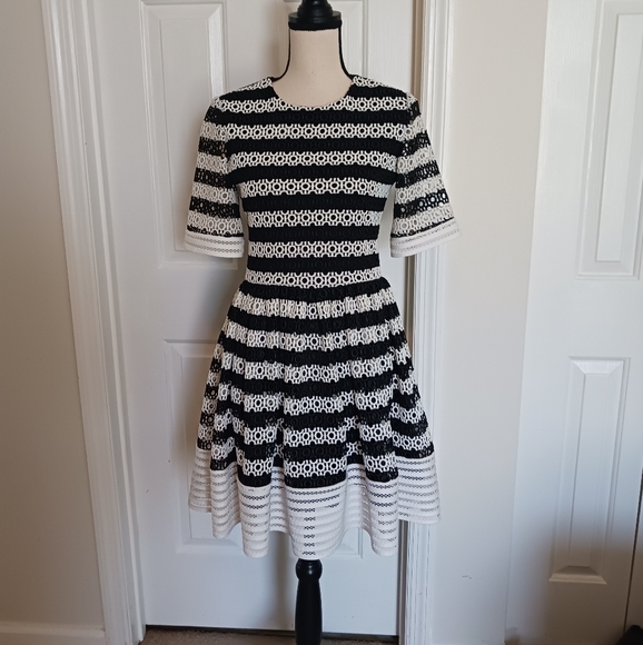 Alexis Amir Striped Crochet Pleated Dress - Picture 3 of 15
